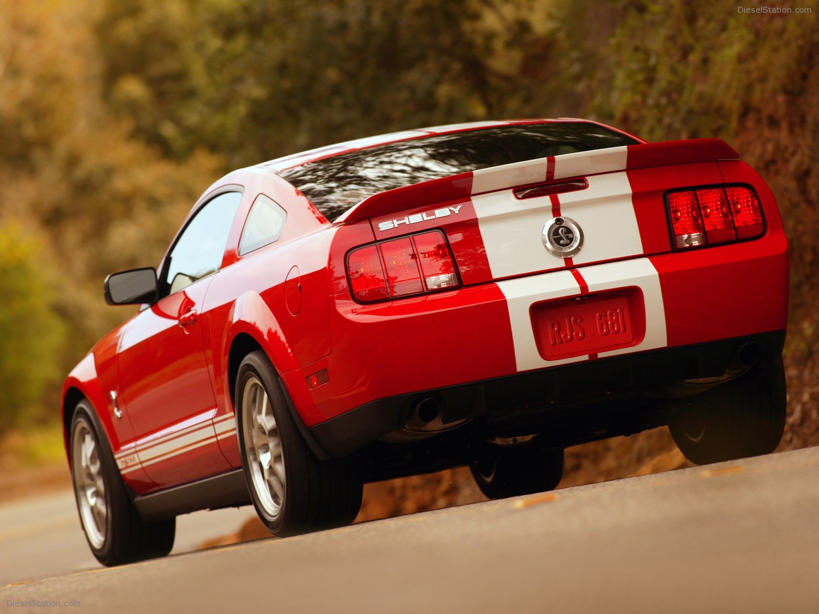 Ford Shelby Cobra GT500